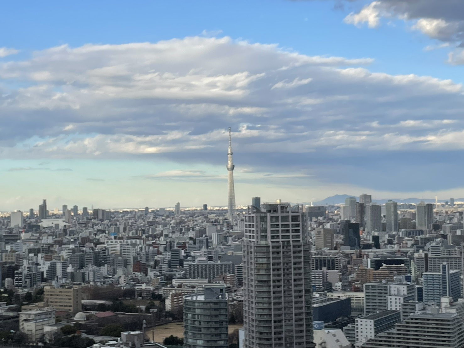 アーバンドックパークシティ豊洲 タワーAの展望
