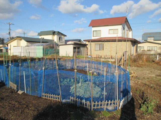 白老町竹浦204-53　土地の土地図