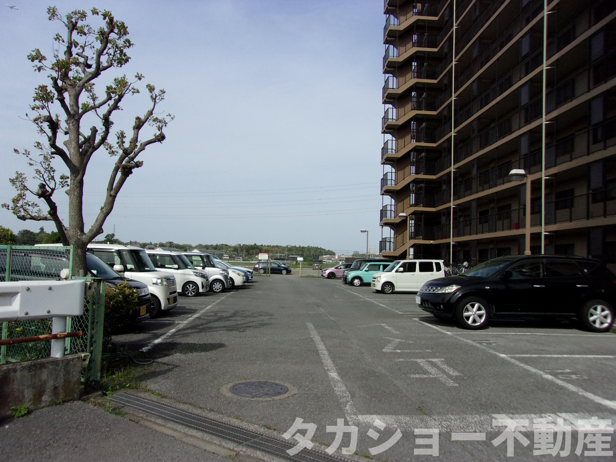 メヌエット八壱の駐車場|駐車場に車を止められます