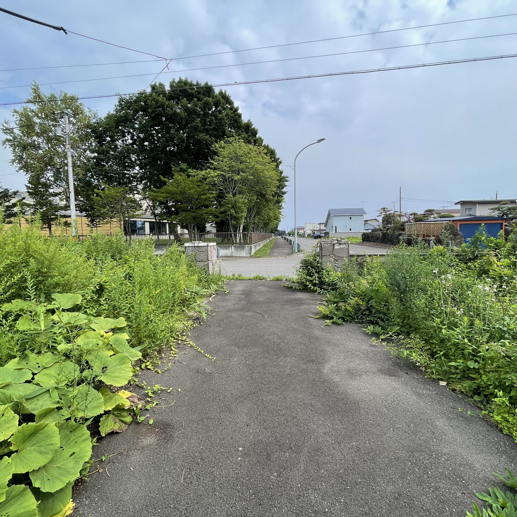 白老町東町2丁目45-24　土地の周辺