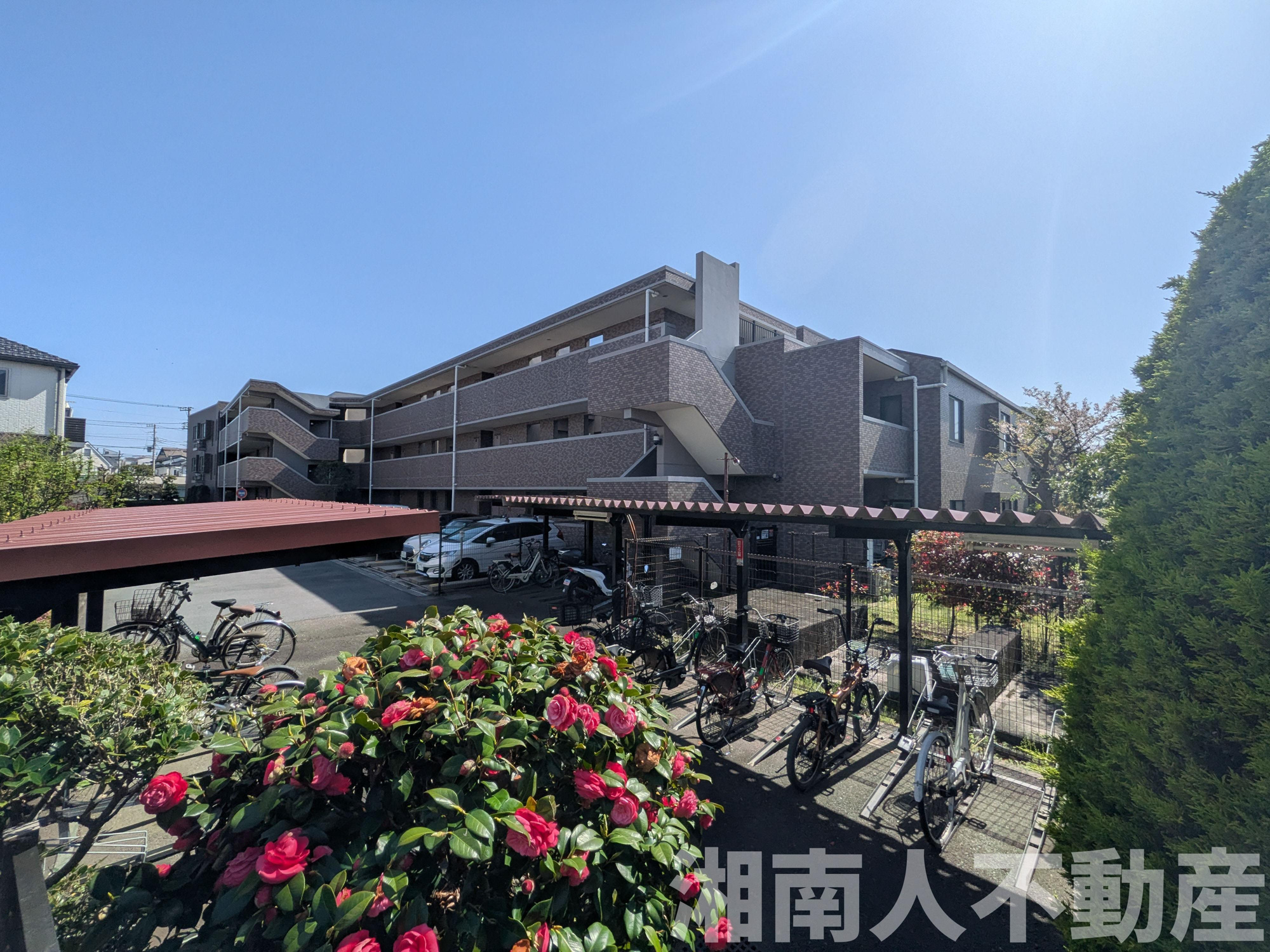 シティコート本鵠沼の周辺