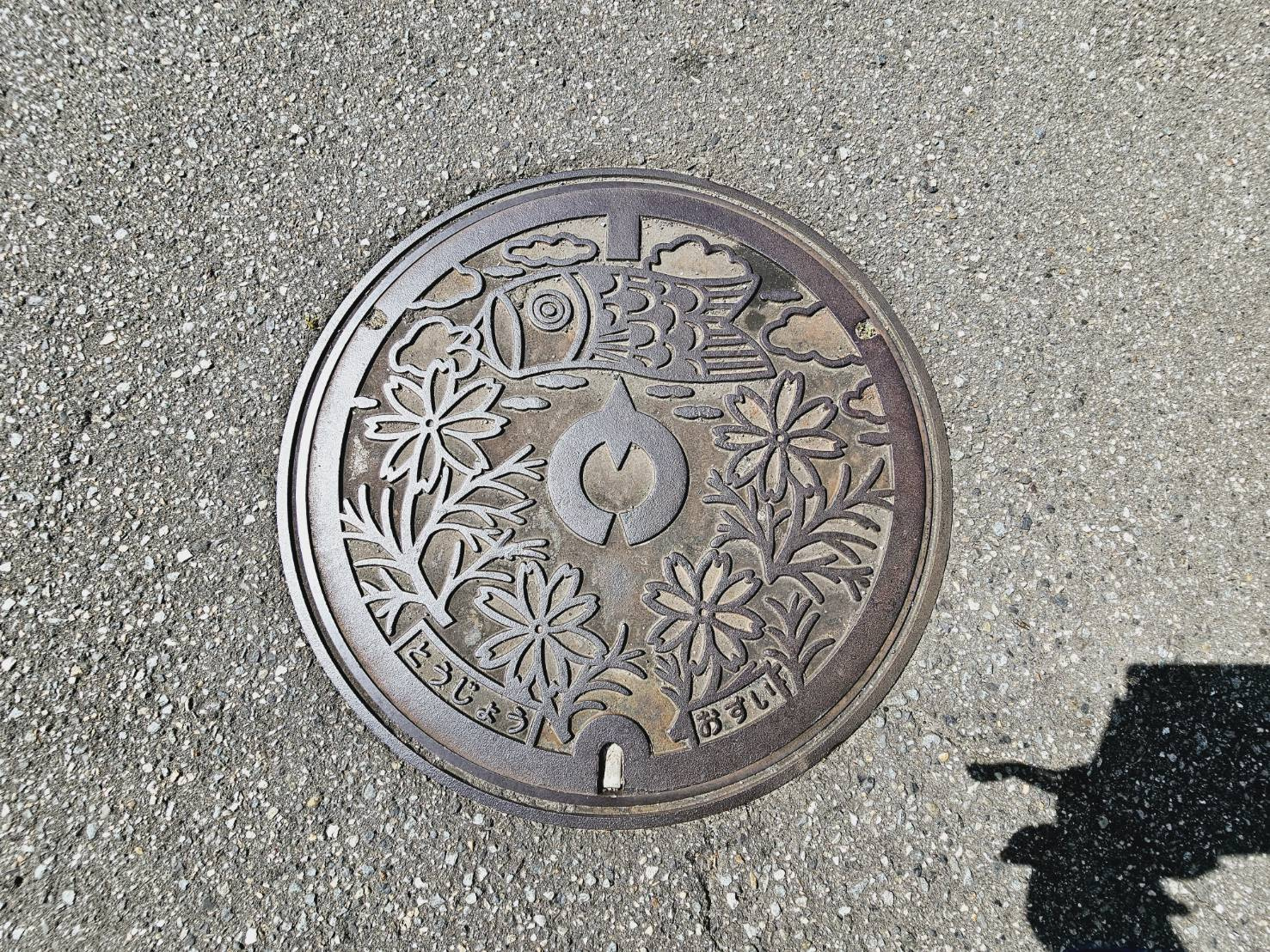 加東市南山土地①のその他|北東側汚水管