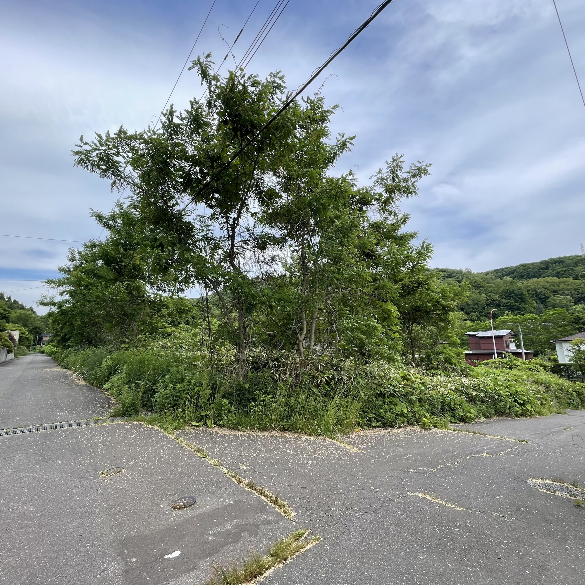 室蘭市陣屋町5丁目7-1　土地の土地図