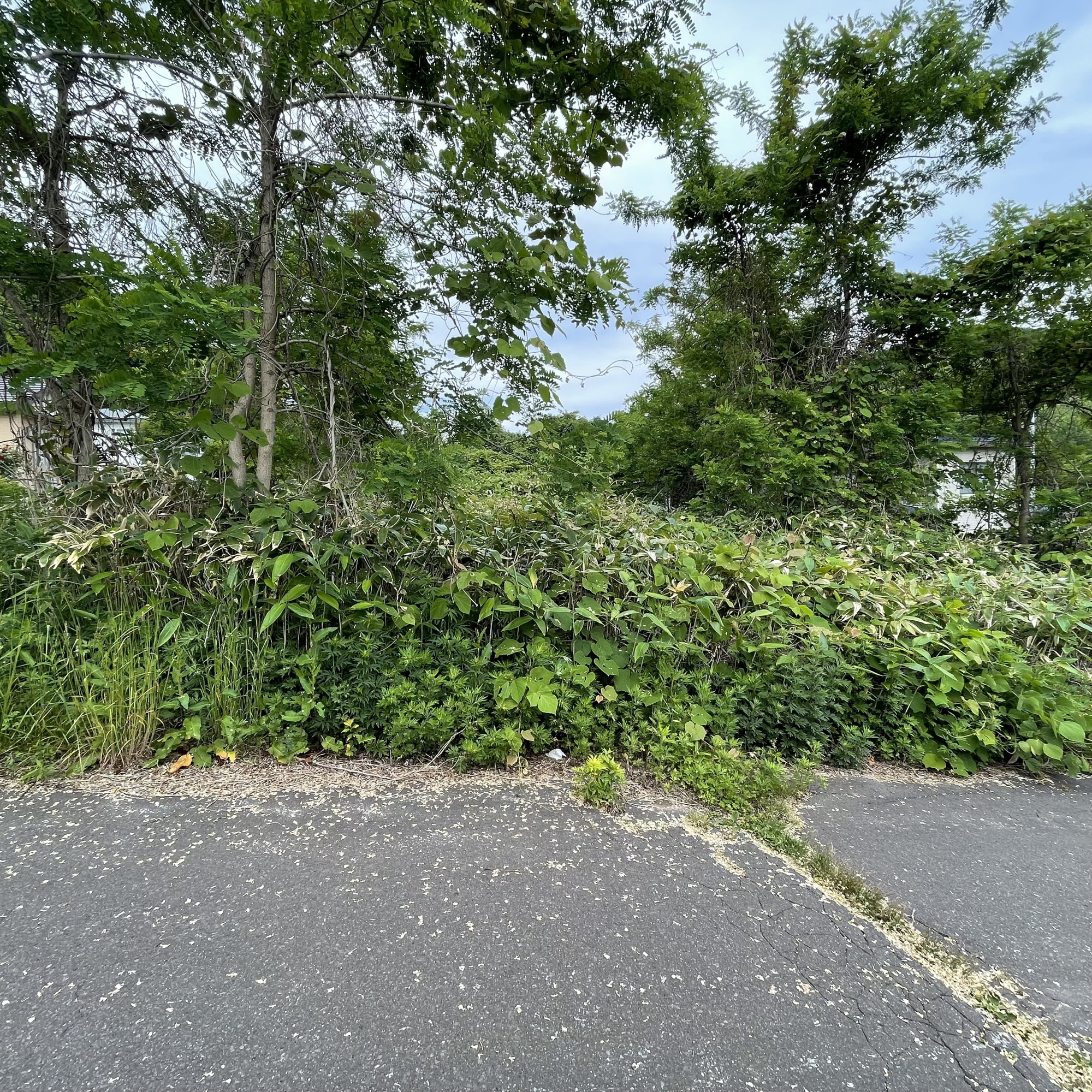 室蘭市陣屋町5丁目7-1　土地のその他