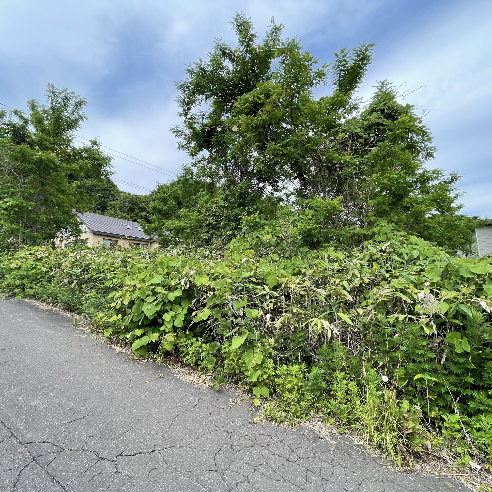 室蘭市陣屋町5丁目7-1　土地のその他
