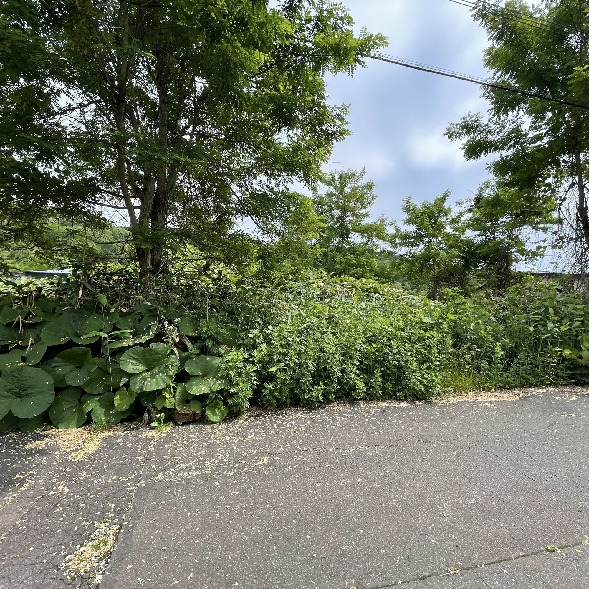 室蘭市陣屋町5丁目7-1　土地の外観