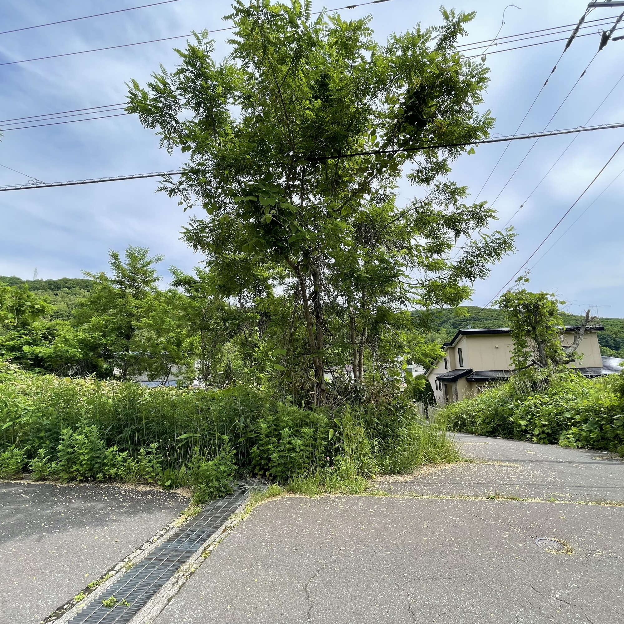 室蘭市陣屋町5丁目7-1　土地の外観