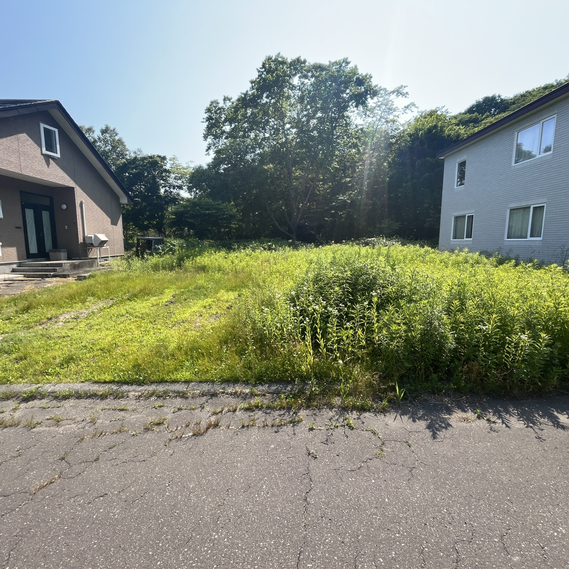 登別市登別本町2丁目50-18　土地の土地図