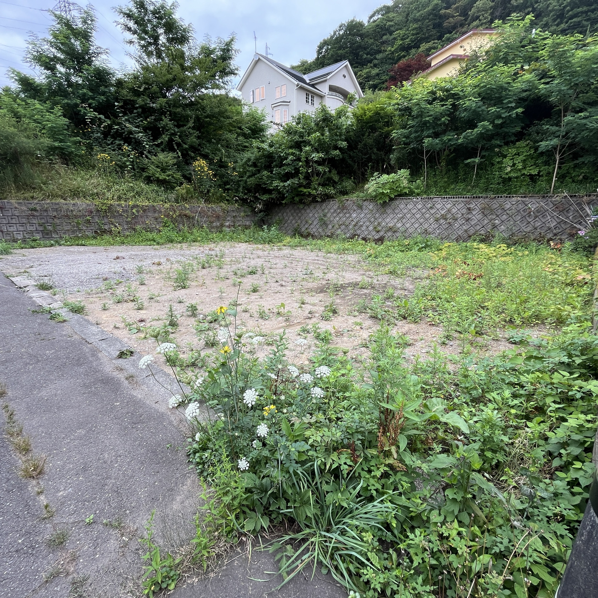 登別市美園町6丁目8-11　土地の土地図