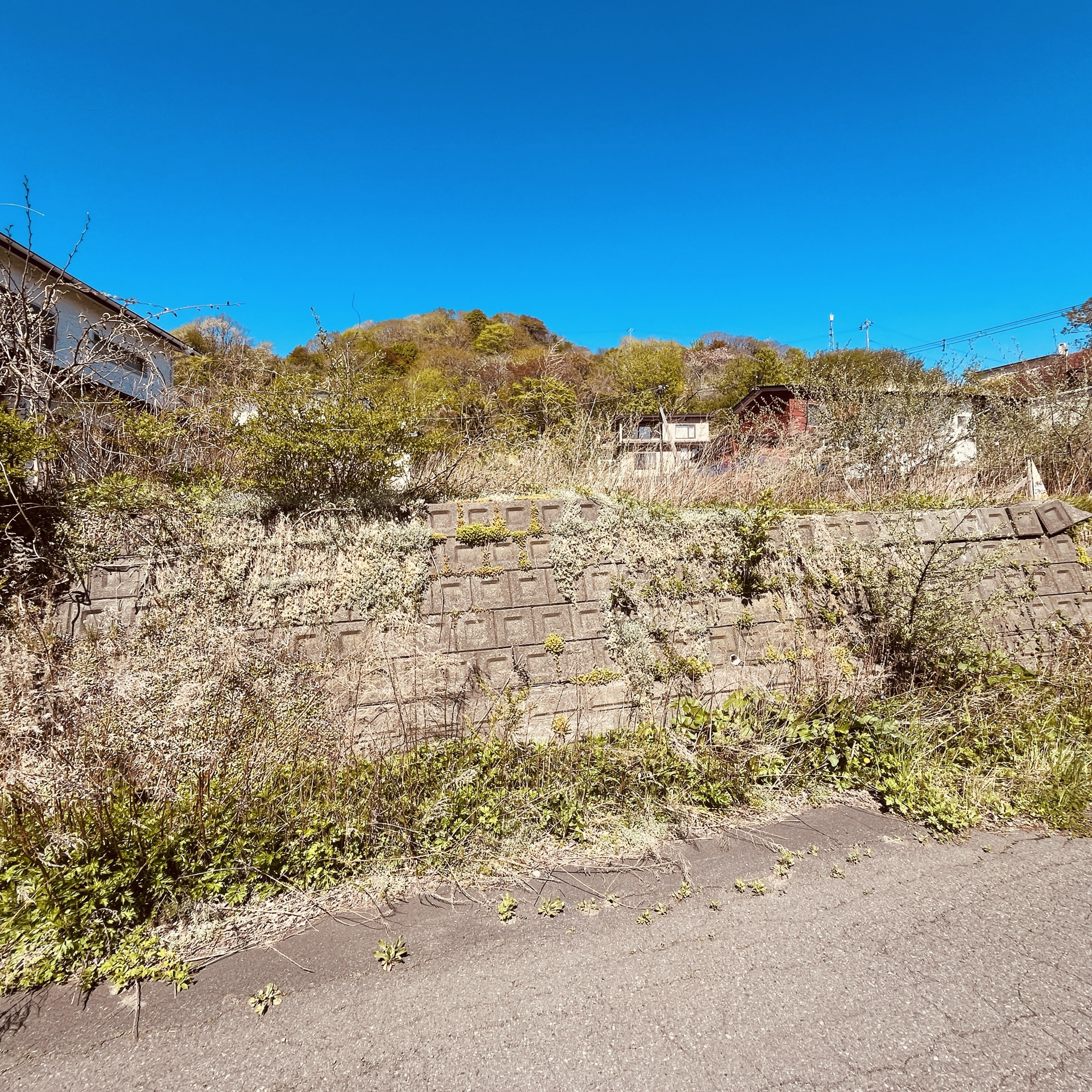 室蘭市母恋南町2丁目78-30　土地の周辺