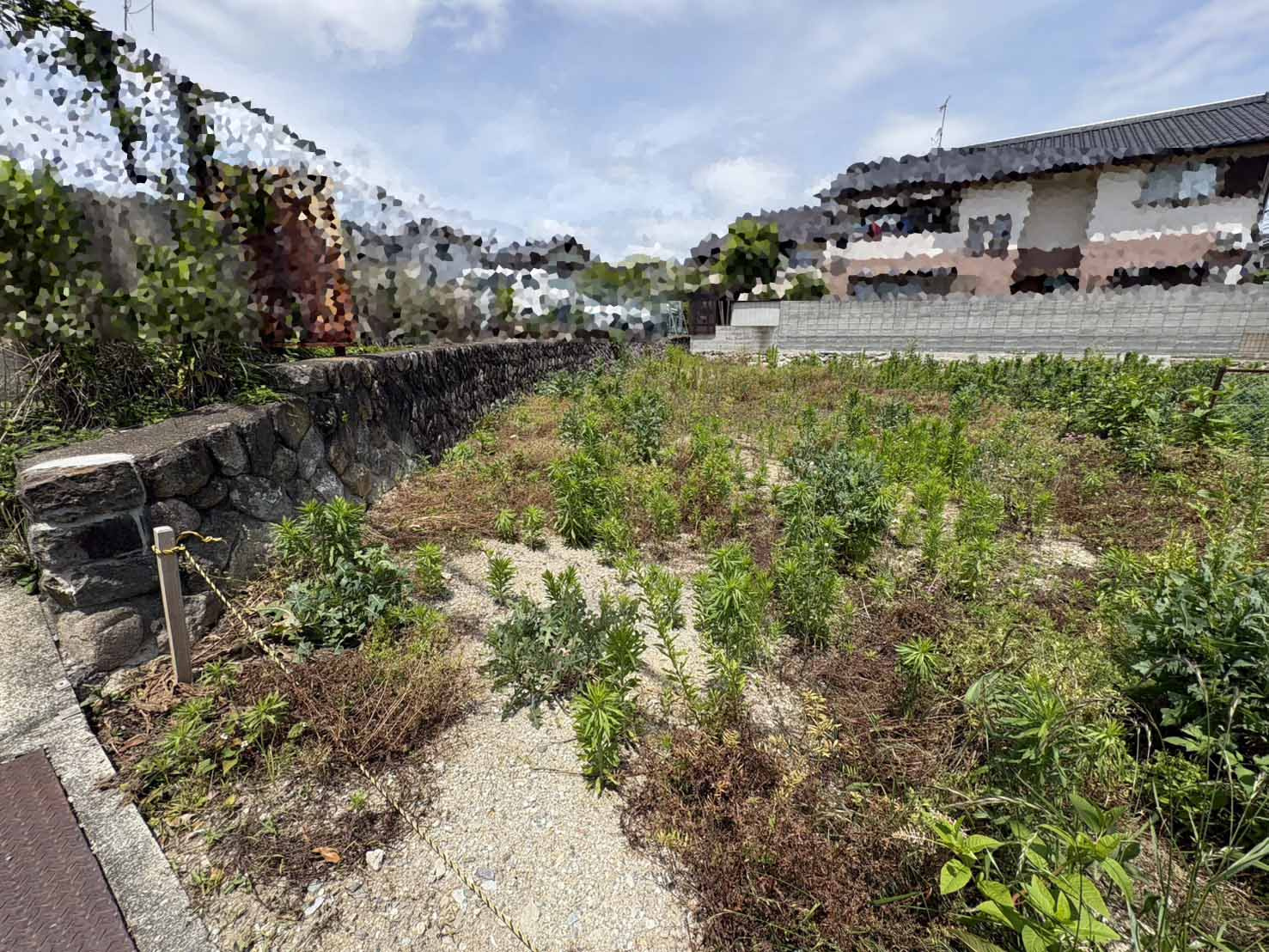 屋敷町更地の外観