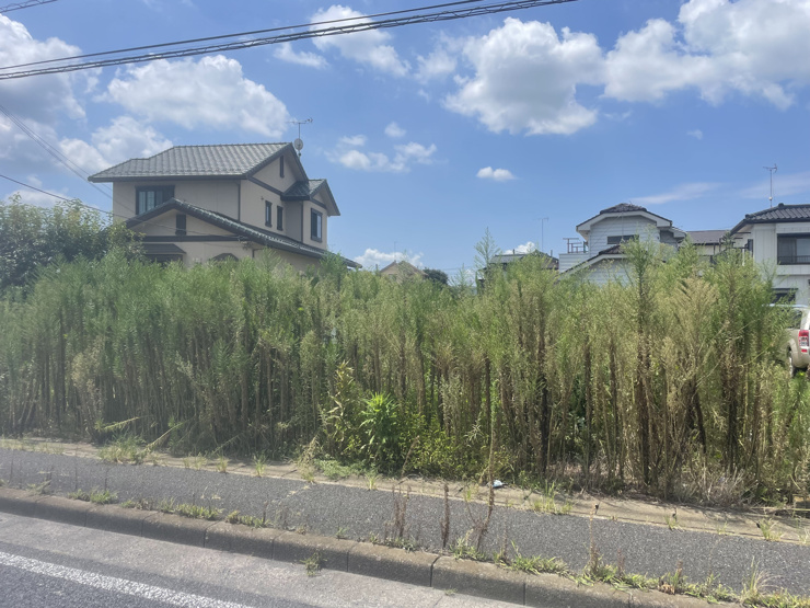 古河市茶屋新田◆現地写真