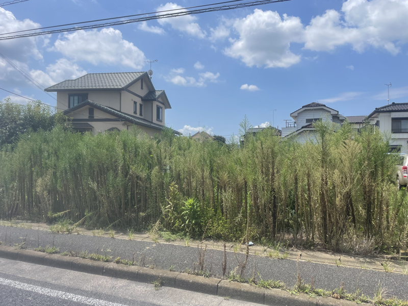 古河市茶屋新田◆現地写真