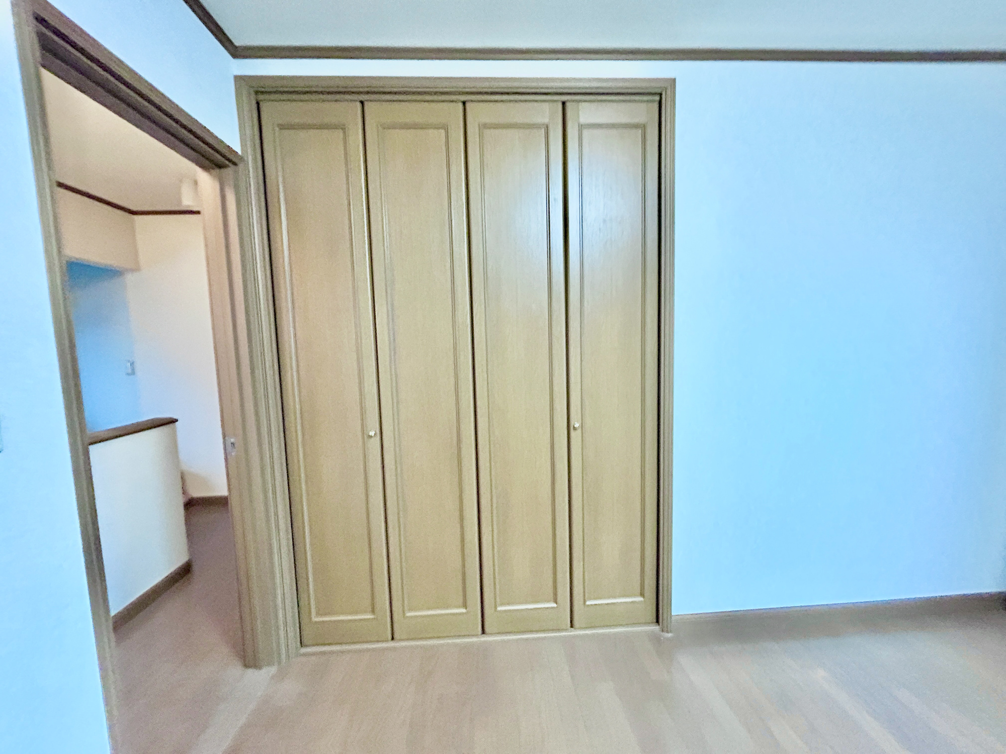 前橋市天川大島町３丁目　中古戸建の収納|収納ボックスなどを配置して使えば、多様な使い方が出来、収納の幅が広がります！