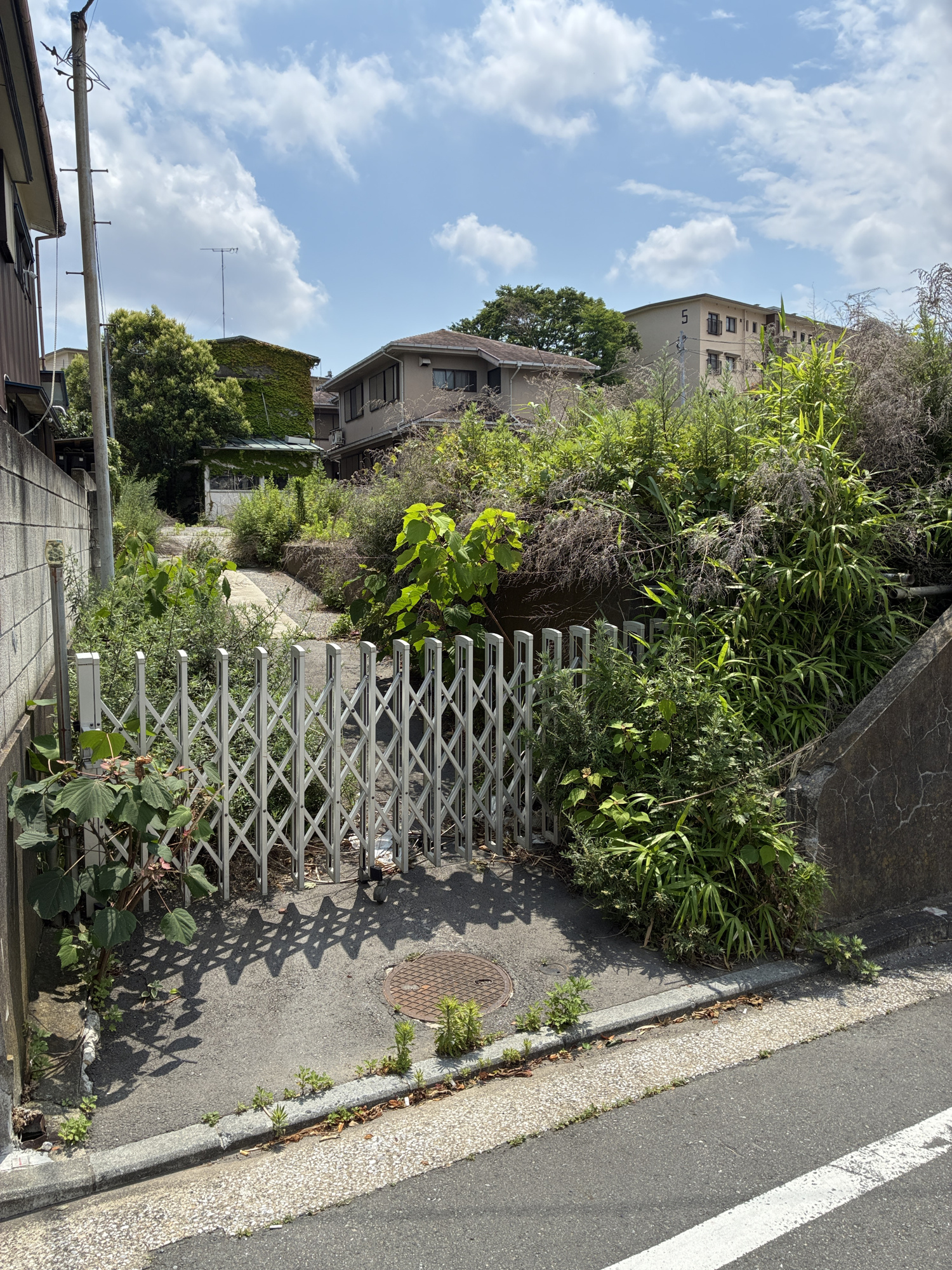 【前面道路含む現地写真】