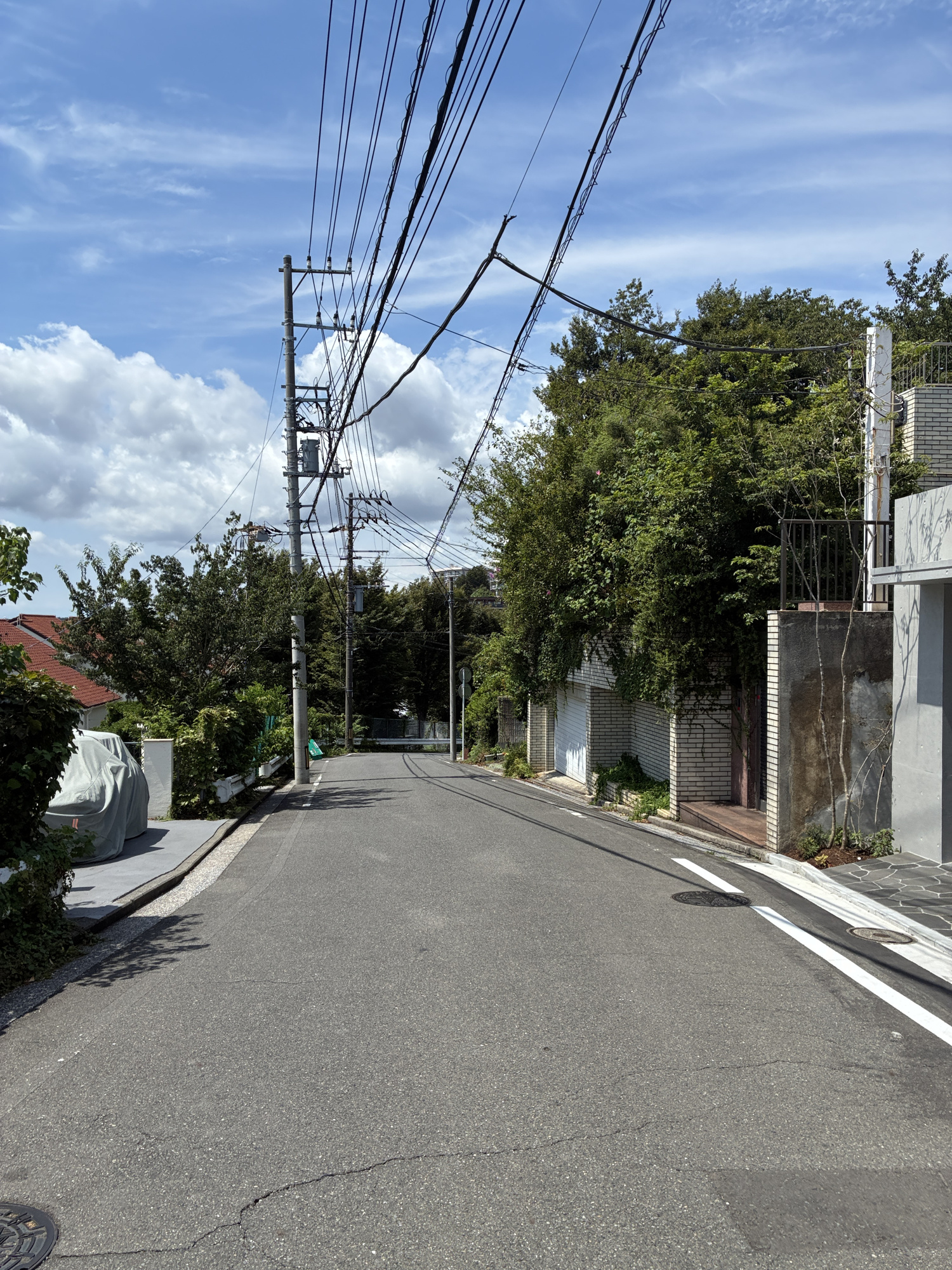 【前面道路含む現地写真】