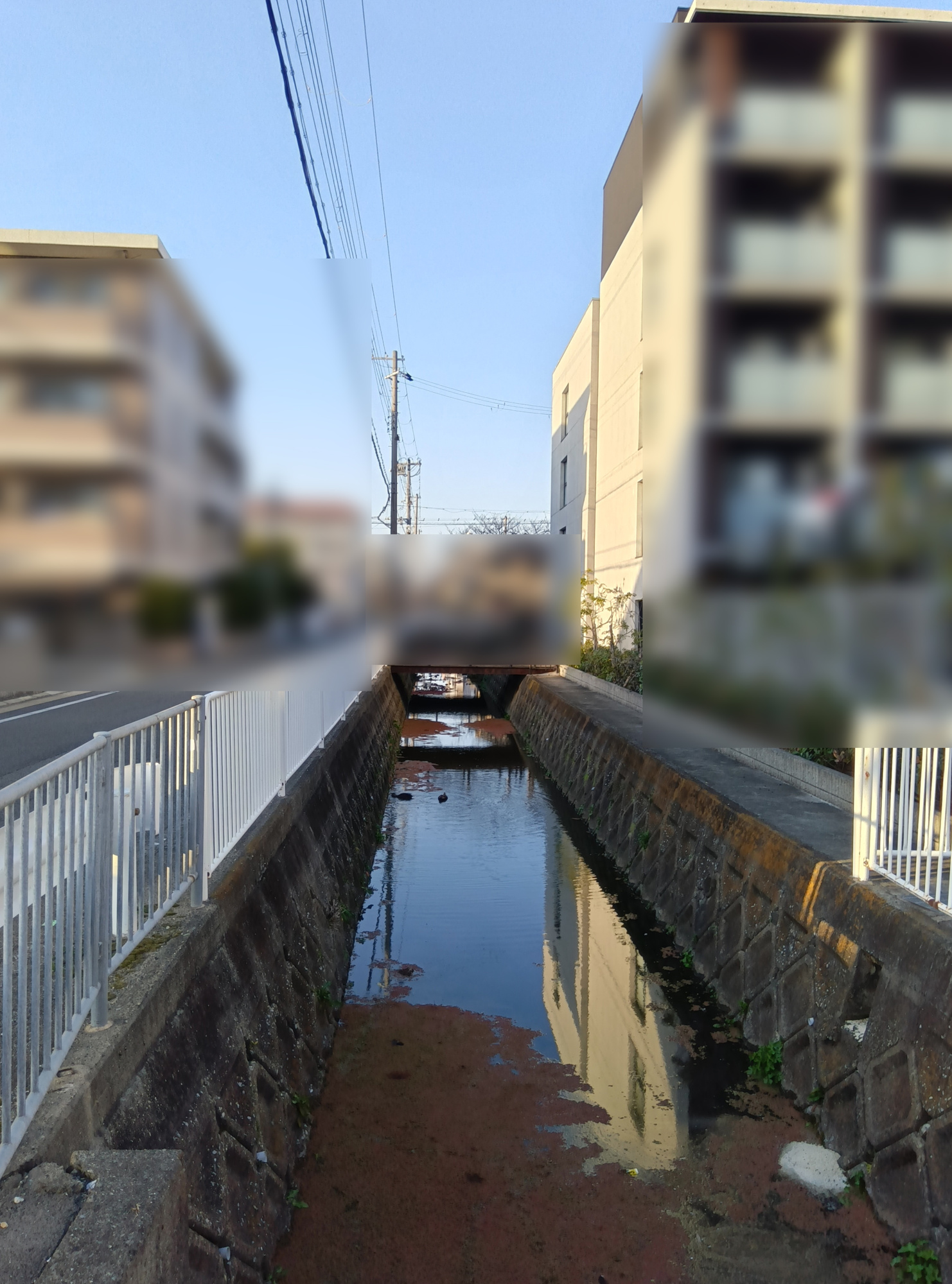 南塚口ハイツのその他|西側水路