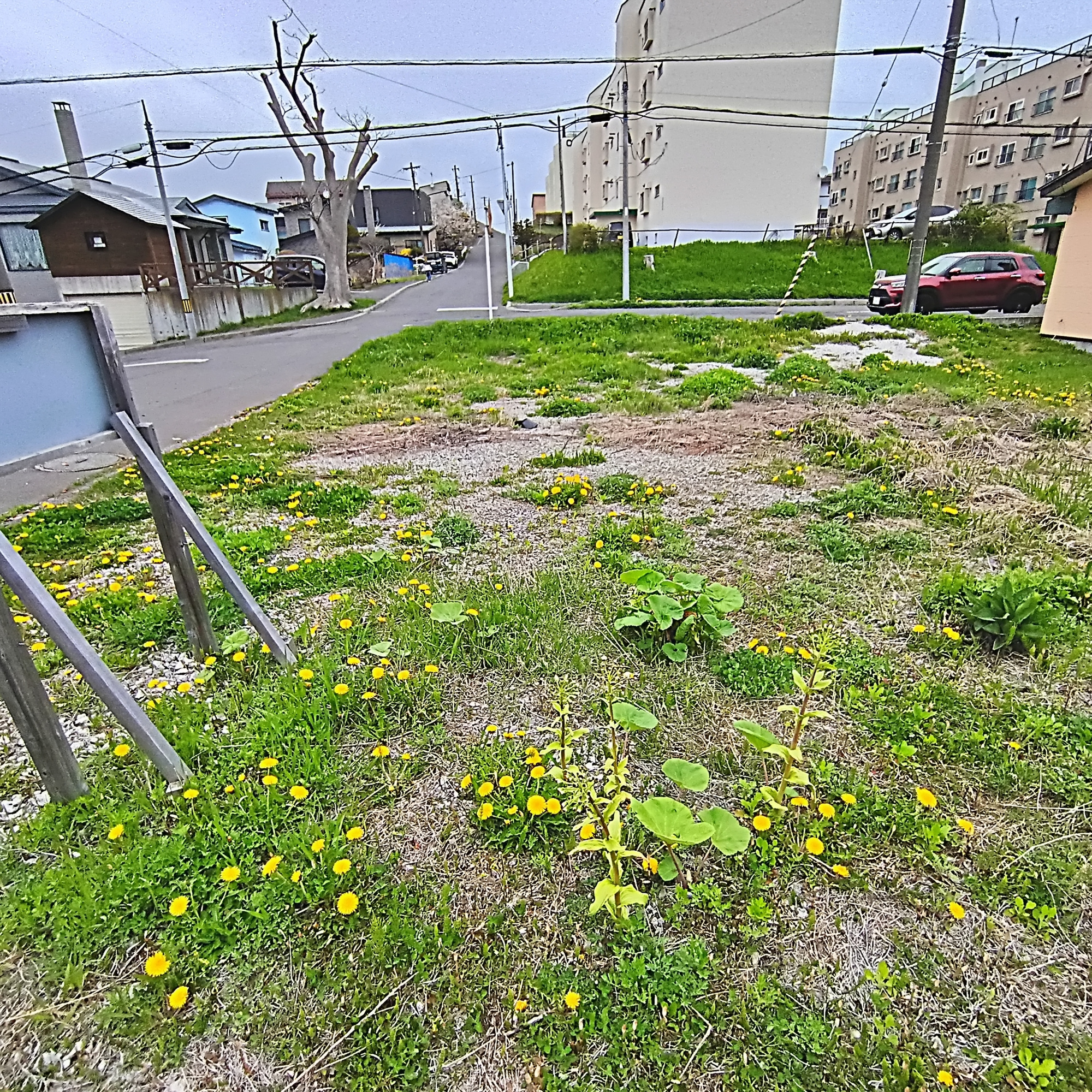 室蘭市高砂町2丁目4-49.50　土地の土地図