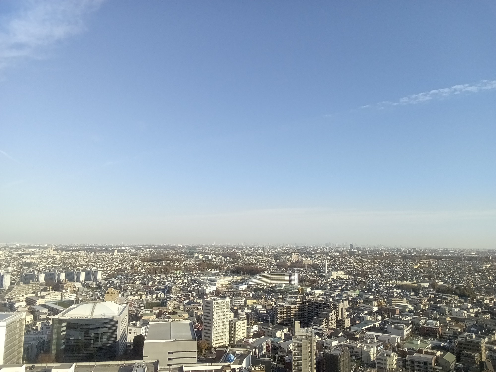 シティタワー所沢クラッシィの展望