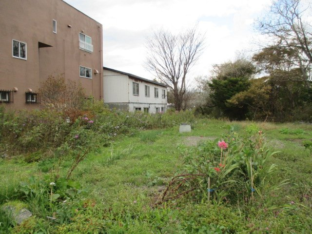白老町萩野26　土地の土地図