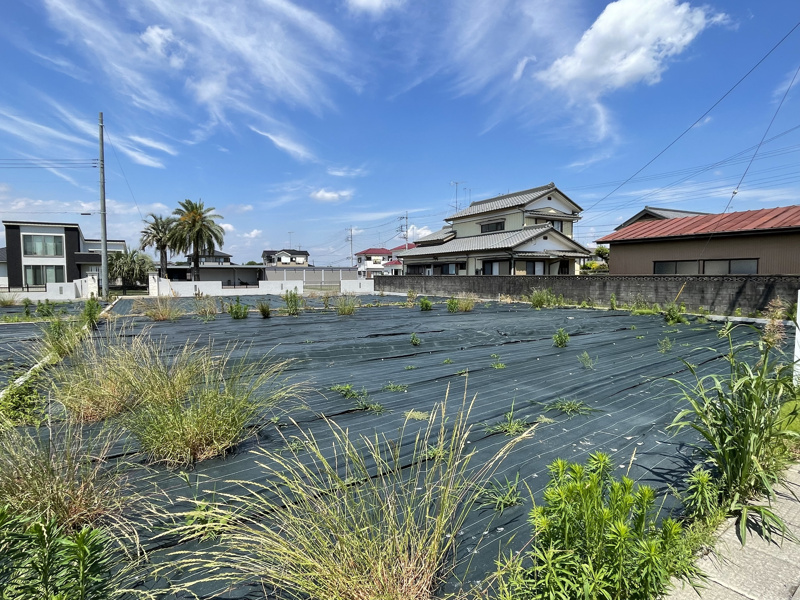 大字下新田（全9区画）J区画：現地土地　6/1撮影