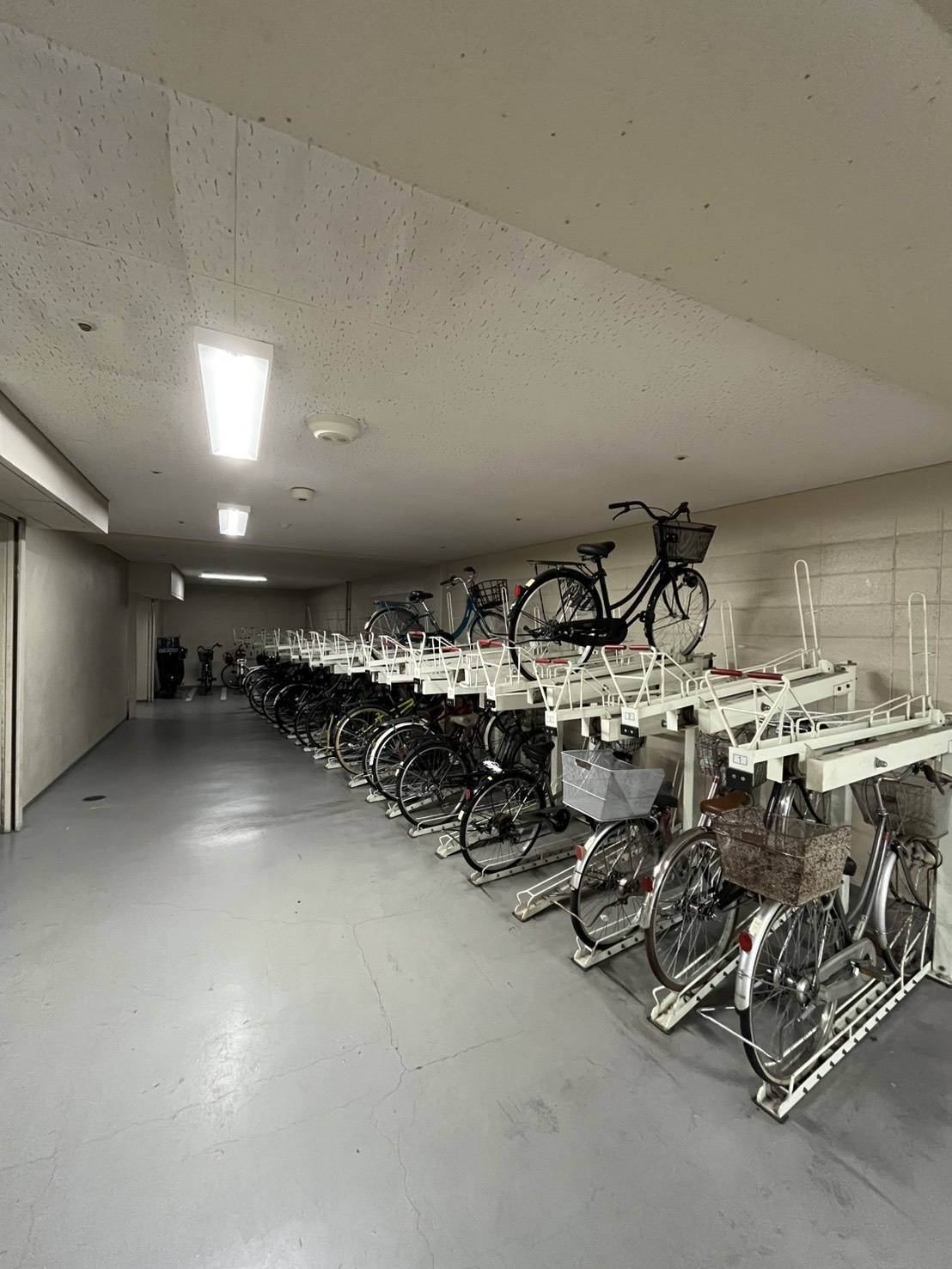 フレンテ西館（ヴィエント西宮）の駐輪場