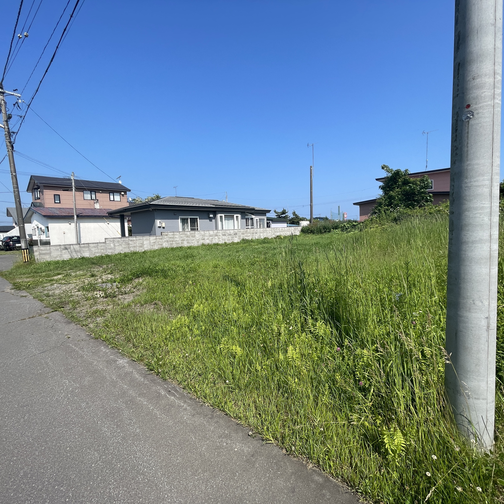 白老町東町3丁目44-81　土地の周辺