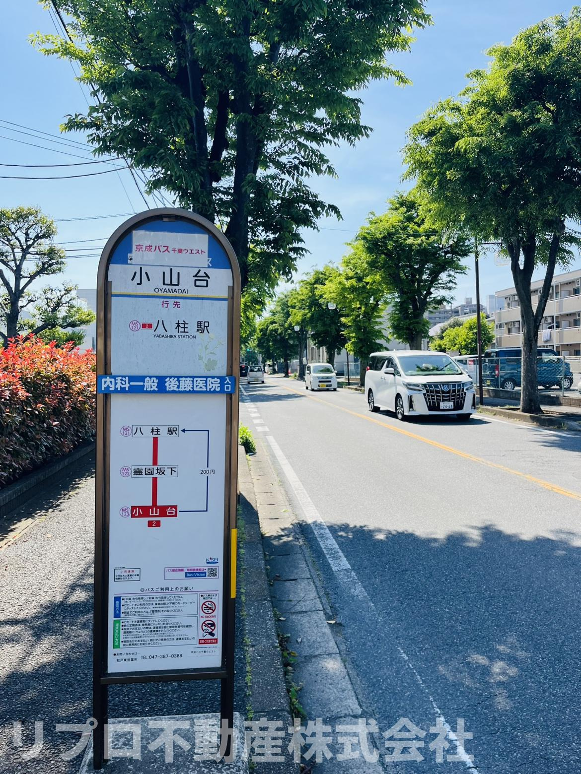 ファミール南常盤平８階の周辺|前面道路に出てすぐバス停があり利便性が良いです♪