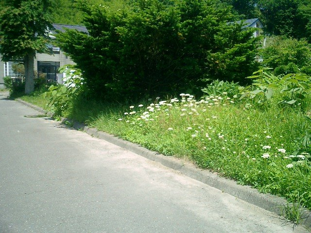 登別市登別東町３丁目28-5　土地のその他
