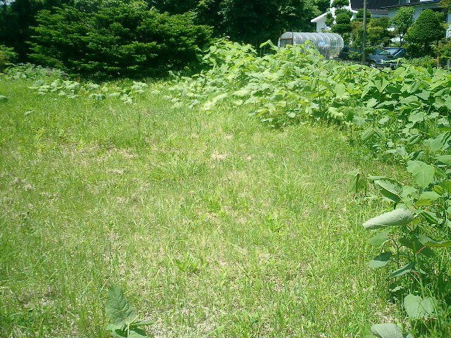 登別市登別東町３丁目28-5　土地のその他