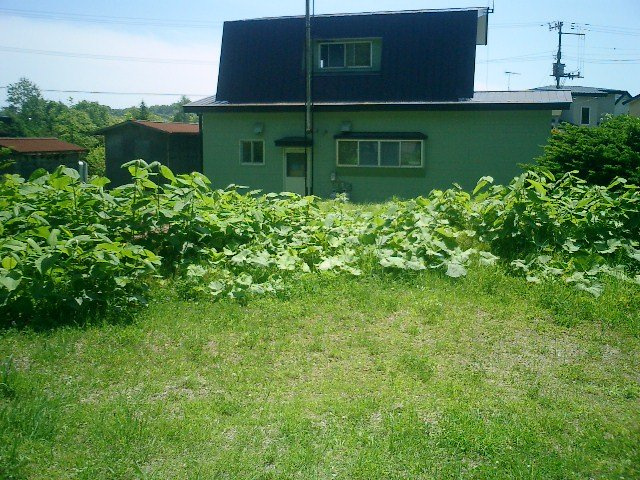 登別市登別東町３丁目28-5　土地のその他