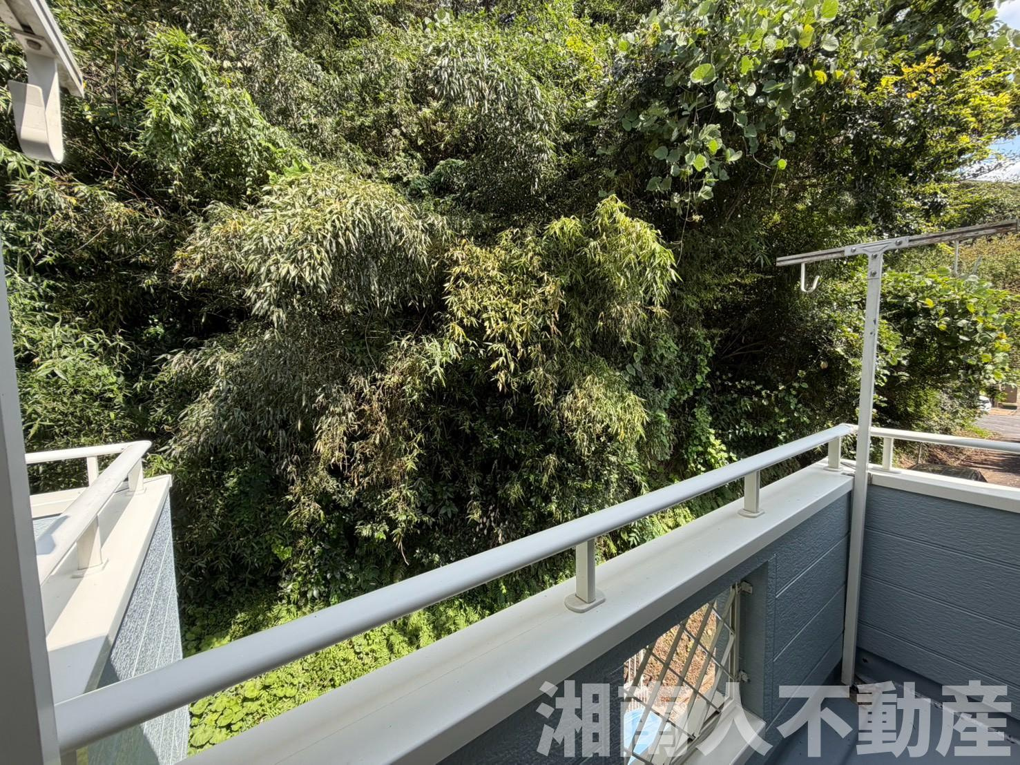 鎌倉市七里ガ浜東５丁目５－１３戸建のバルコニー|陽当たり良好なバルコニーです