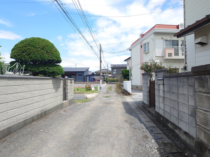 2026年6月撮影