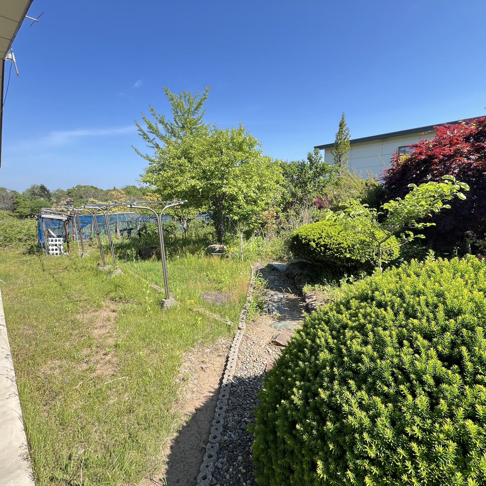 室蘭市白鳥台5丁目25-4　中古住宅の庭