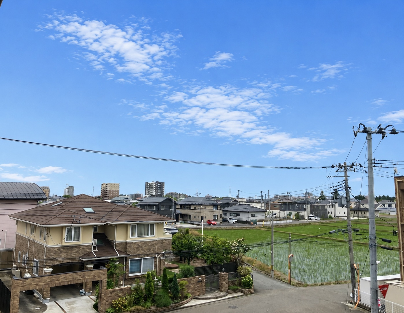  ≪南向き×陽当たり◎≫ライオンズマンション大和町四丁目の展望|南向きにつき陽当たり良好。周辺は低層住宅を中心とした街並みで、空の広がりを感じられる眺望です。