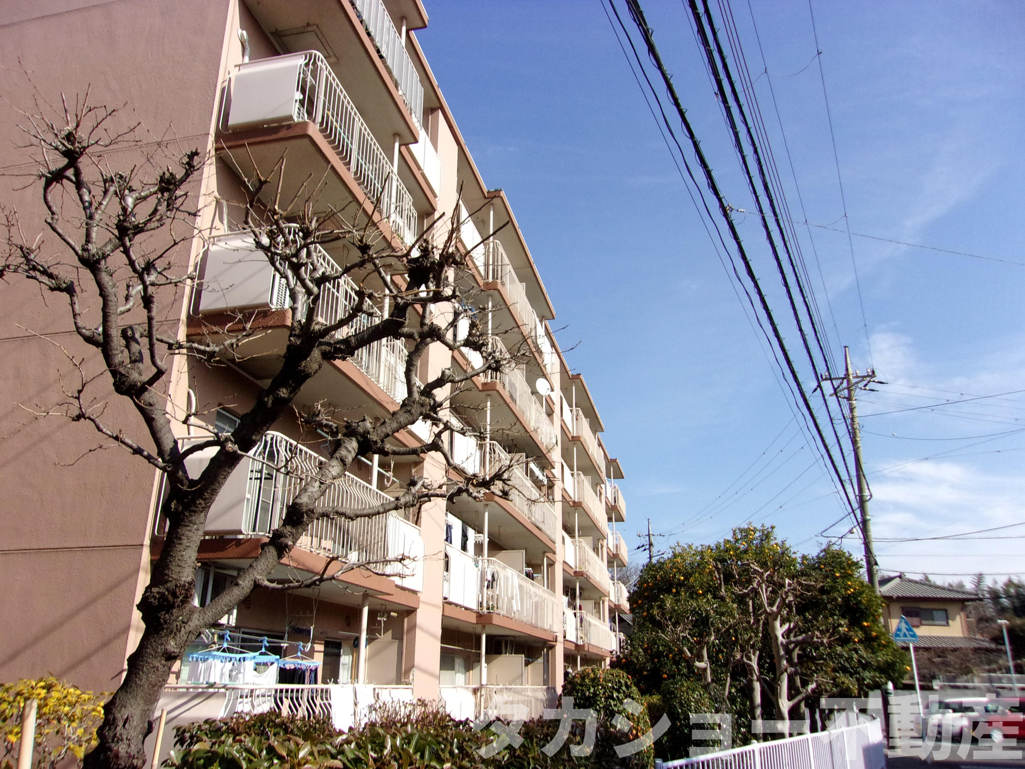 西千葉グリーンハイツ　2号棟の外観