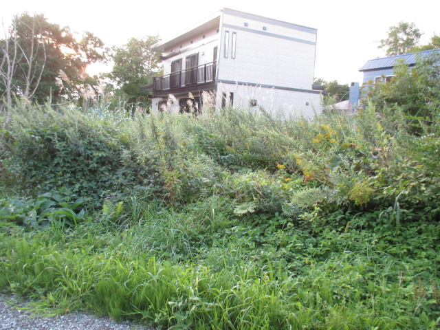 室蘭市本輪西町5丁目494-11　土地の土地図
